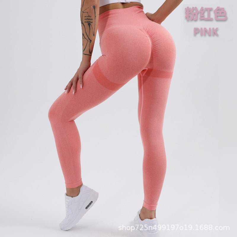 Promakepro Best Seller in Europe and America Exercise Workout Pants Seamless Knitted Hip Slimming Leggings Women's Moisture Wicking Yoga Pants Spot